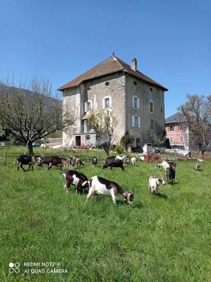 Вилла La Tour De Seythenex Экстерьер фото